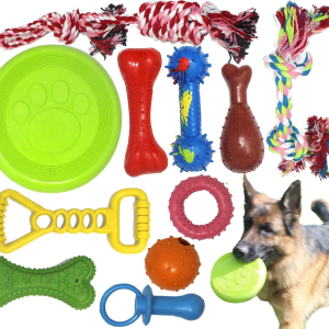 Chew-Resistant Chew Toy Set Pro Edition